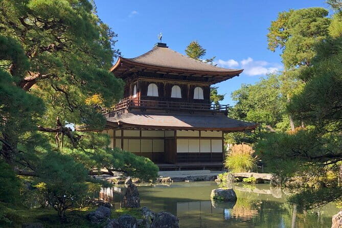 Kyoto Heritage Run - Venture through historical Kyoto landmarks - Maruyama Park and Yasaka Shrine: winding down near the heart of Kyoto