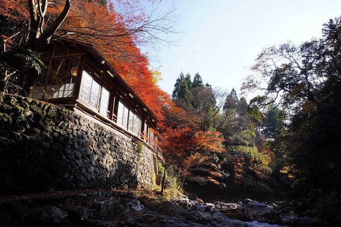 Kyoto Hidden Riverside Zen Mediation and Uji Matcha Experience - Price and Value: What $105 Buys in Kyoto