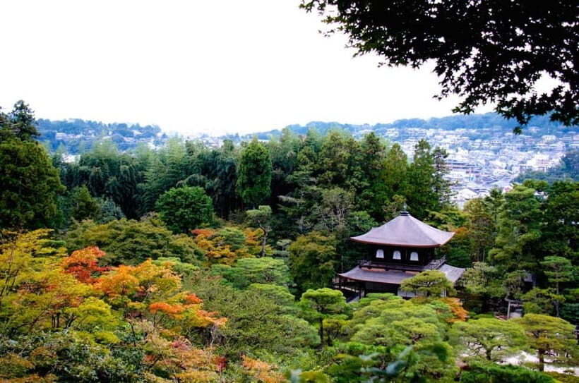 Kyoto: Highlights Guided Walking Tour - From Kyoto Avanti to Old Kyoto: a smart start point