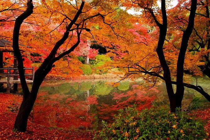 Kyoto Highlights: Half Day Customized World Heritage Walking Tour - Price and value: why $125 can be a bargain or a cost hike