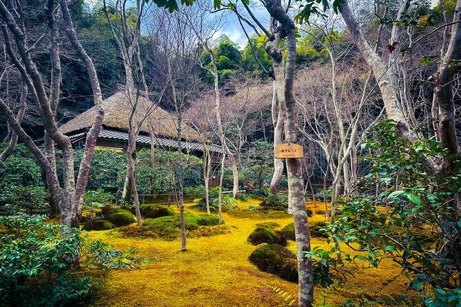 Kyoto Highlights & Hidden Gems in Nature (Private Van Eng-Guide) - Gio-ji and Otagi Nenbutsu-ji: Moss, Thatched Quiet, and a Different Arashiyama Mood
