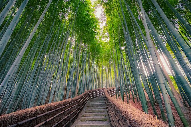 Kyoto Highlights & Hidden Gems in Nature (Private Van Eng-Guide) - Arashiyama Bamboo Forest: Iconic Path, Plus a Story You Won’t Get Alone