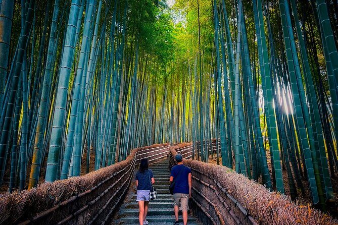 Kyoto Highlights & Hidden Gems in Nature (Private Van Eng-Guide) - Planning the Money: What’s Included vs. What You Pay on Arrival