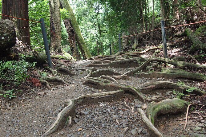 Kyoto Hiking Tour: The Nature and Legends of Kurama and Kibune - Guides in real life: how names like Yuki, Ryoma, and Michiko change the day