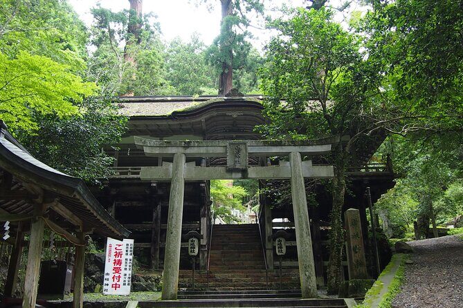 Kyoto Hiking Tour: The Nature and Legends of Kurama and Kibune - Who should book this tour?