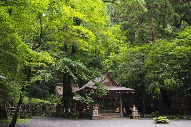 Kyoto Hiking Tour: The Nature and Legends of Kurama and Kibune - The 9:00 am start and how the timing actually works