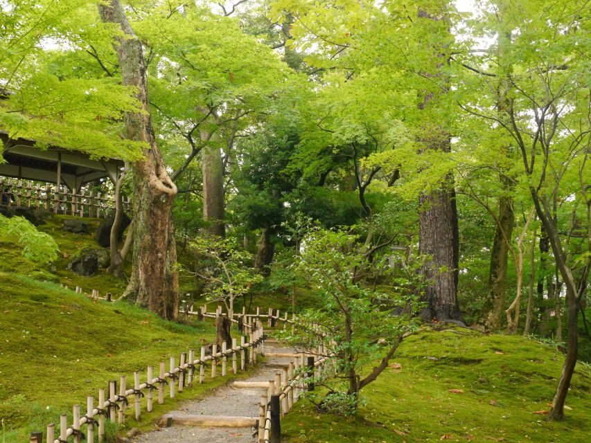 Kyoto: Historic Higashiyama Walking Tour - How the guide experience changes everything