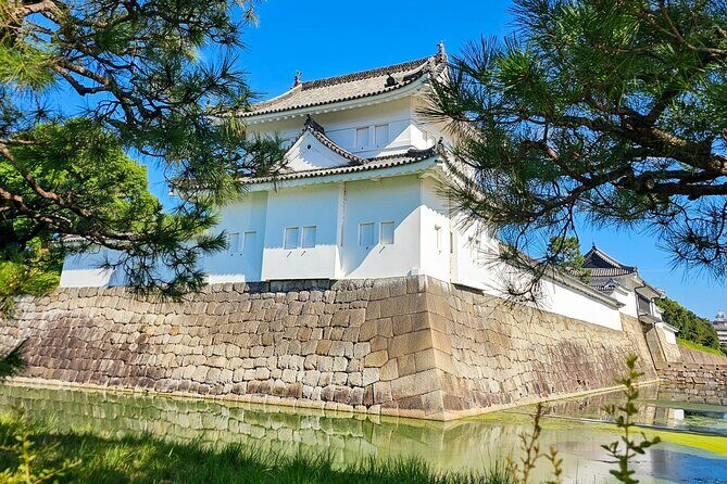 Kyoto Imperial Palace & Nijo Castle Guided Walking Tour - 3 Hours - How the Guide Makes or Breaks This Tour