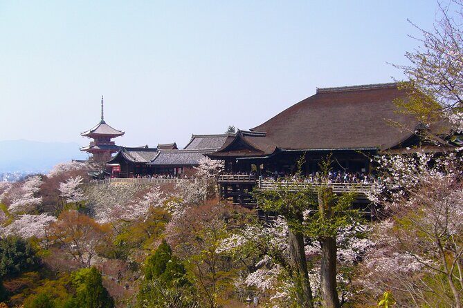 Kyoto in a Day by eBike: The Best Bits Tour (East Course) - Key points before you go