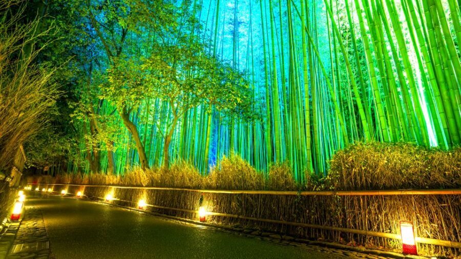 Kyoto: Japanese Gardens Private Customizable Tour - Key things to know before you go