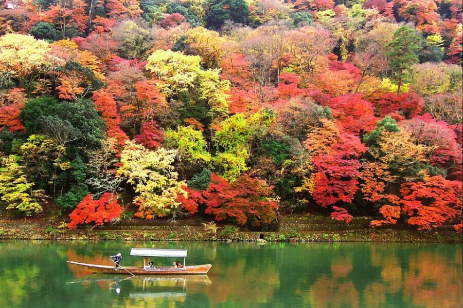 Kyoto: Japanese Gardens Private Customizable Tour - Price and logistics: what $151 includes and what you’ll budget