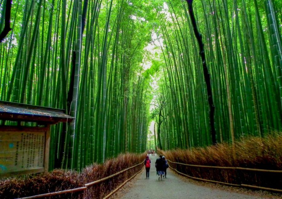 Kyoto: Japanese Gardens Private Customizable Tour - Why a private Zen-garden walk changes everything