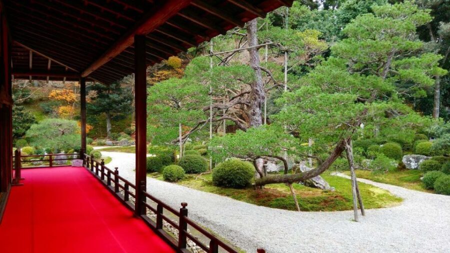 Kyoto: Japanese Gardens Private Customizable Tour - Arashiyama Bamboo Forest: a nature start that sets your mood
