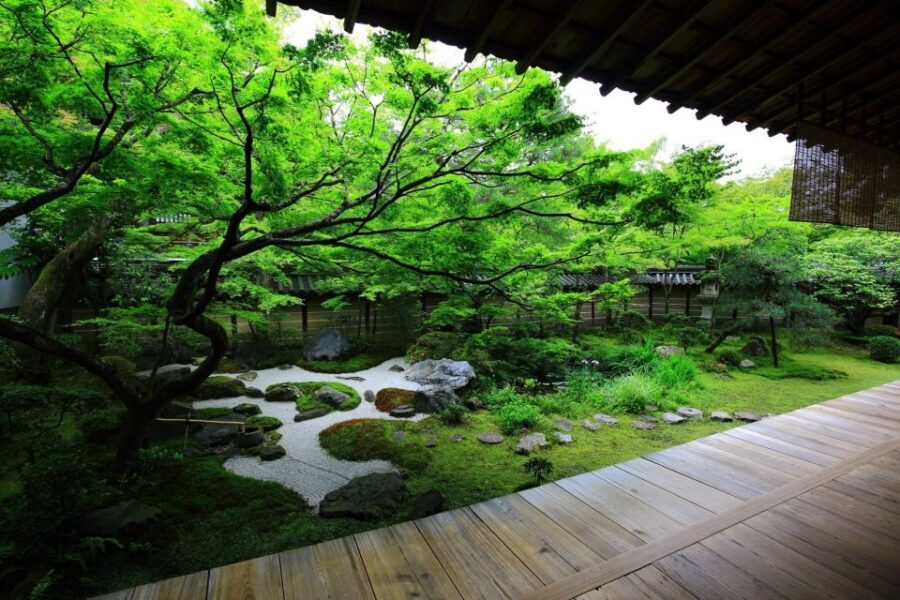 Kyoto: Japanese Gardens Private Customizable Tour - Kinkakuji, Ginkakuji, and Ryoanji: classics with an explanation layer