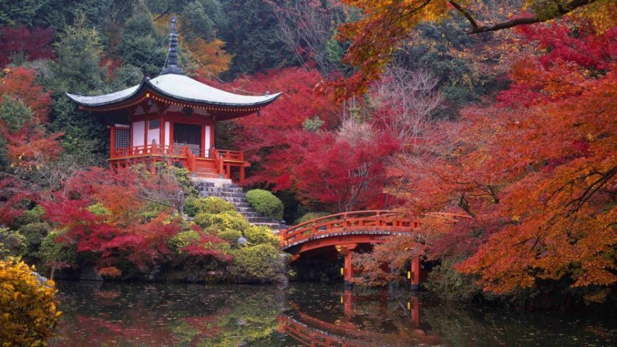 Kyoto: Japanese Gardens Private Customizable Tour - Daitoku-ji and Kokedera Suzumusidera: a chance to go beyond the usual