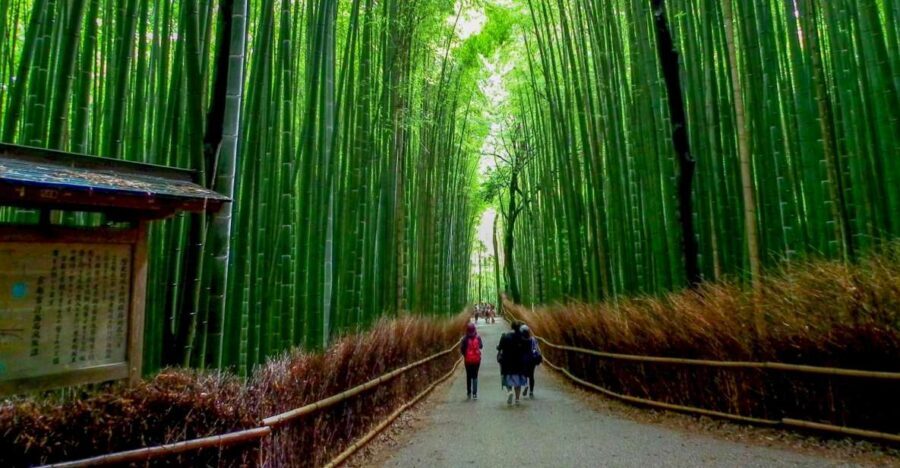 Kyoto: Japanese Gardens Private Customizable Tour - How the customizable 6-hour route actually plays out
