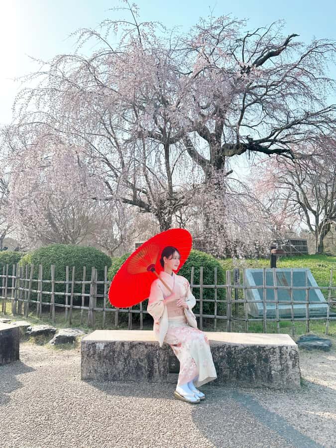 Kyoto: Kimono Rental Traditional Experience at Wargo in Gion - What staff attitude and service quality look like in real life