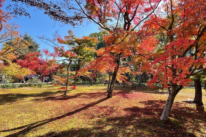 Kyoto: Kinkaku-ji Temple & Serene Garden Guided Tour with Tickets - Kinkaku-ji and the Golden Pavilion: what you’re really looking at