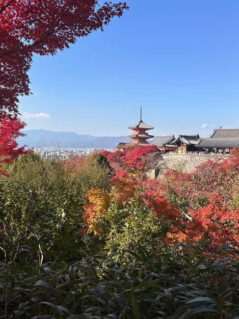 Kyoto: Kiyomizudera, Sanjusangendo, Kodaiji, and Gion. - A Morning Start at Shichijō Station