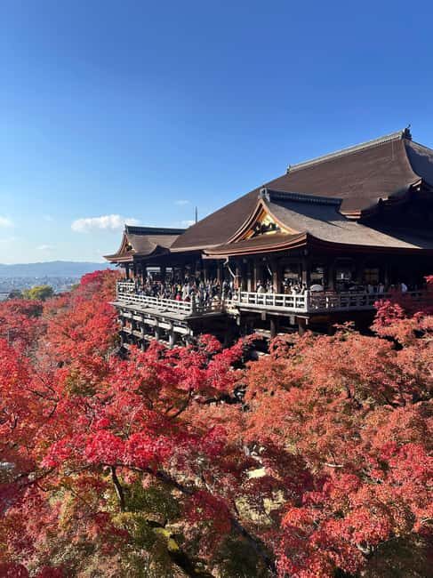 Kyoto: Kiyomizudera, Sanjusangendo, Kodaiji, and Gion. - Sanjusangendo: The 120-Meter Kannon Hall Moment