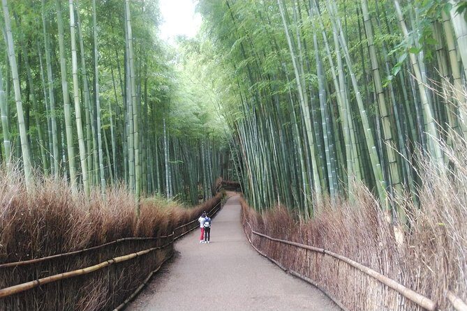 Kyoto Lazy Bird Walking Tour - Fushimi Inari-taisha: torii tunnel magic, plus stairs you feel later