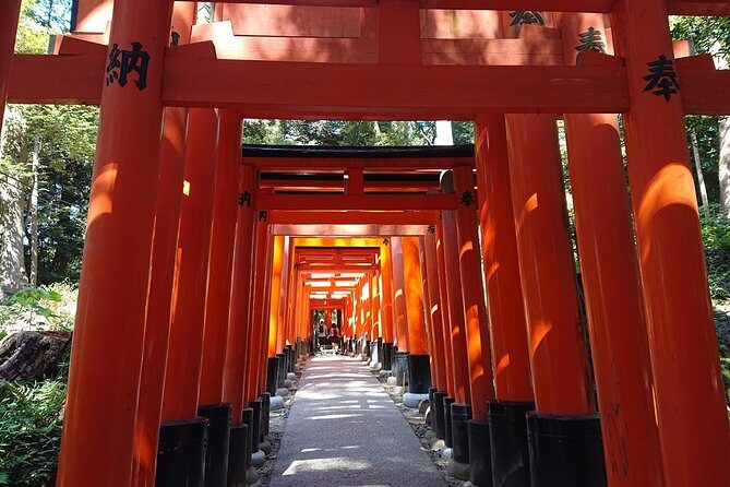 Kyoto Lazy Bird Walking Tour - Three sights that cover Kyoto’s mood fast: bamboo, gold, and torii