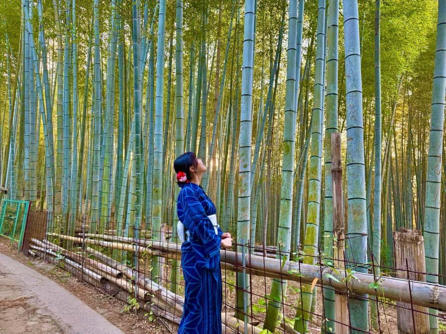 Kyoto Morning Highlights Tour: Fushimi, Kiyomizu-dera & Gion - Gion at morning pace: old Kyoto without the peak crush