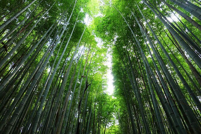 Kyoto Morning Tour with English Speaking Guide - Fushimi Inari-taisha: Walking the Red Torii Corridor With Meaning