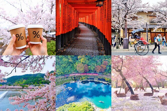 Kyoto-Nara Adventures Private Tour With Hotel Pick Up - Key things that matter before you book