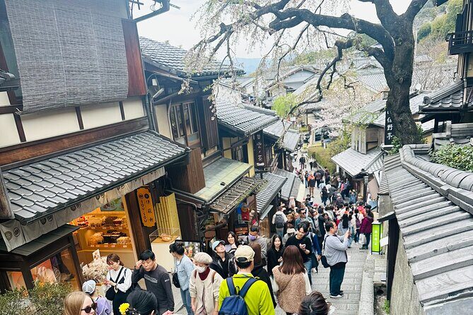 Kyoto-Nara Adventures Private Tour With Hotel Pick Up - Private transport value: comfort, control, and fewer headaches