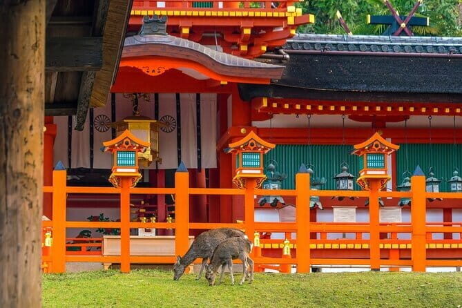 Kyoto & Nara Day Tour: Golden Pavilion, Fushimi Inari & Deer Park - Togetsukyō Bridge: the quick stop that pays off in photos