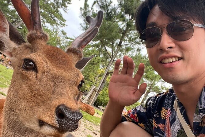 Kyoto & Nara Day Tour: Golden Pavilion, Fushimi Inari & Deer Park - Should you book this Kyoto & Nara day tour?
