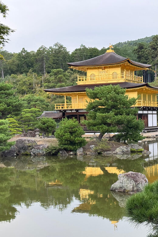 Kyoto & Nara Full Day Customised Tour - Nara Park and Tōdai-ji: the grand finale in a park setting