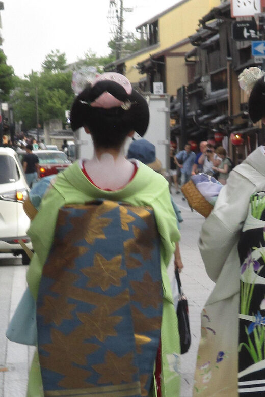KYOTO-NARA: Giant Buddha Deer Pagoda "Geisya" (Italian, full day) - Gion-kobu and the world of Maiko/Geiko: culture on foot toward Pontocho