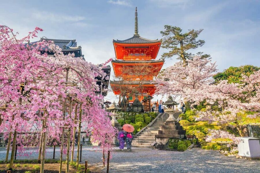Kyoto & Nara Private Customized, Guided Tour - Private van, real pickup options, and why it matters