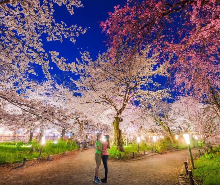 Kyoto & Nara Private Customized, Guided Tour - Fushimi Inari Taisha: walking the torii lanes with a plan