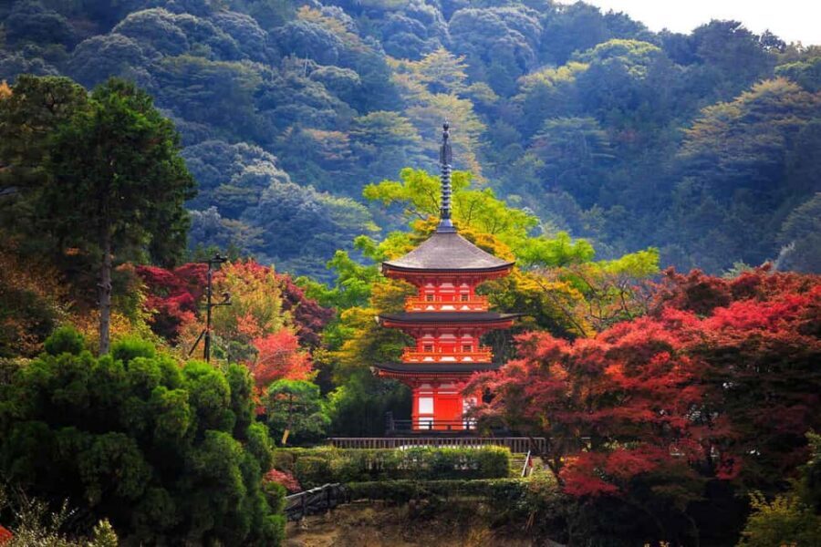 Kyoto & Nara Private Customized, Guided Tour - Nishiki Market: one hour that works best as a wandering sprint