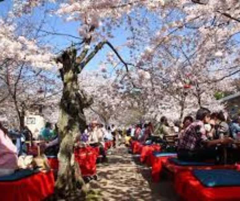Kyoto & Nara Private Customized, Guided Tour - How the guide level affects your experience (and what to ask)