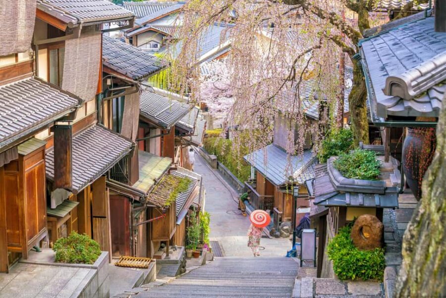 Kyoto & Nara Private Customized, Guided Tour - Arashiyama: the 90-minute mood-setter