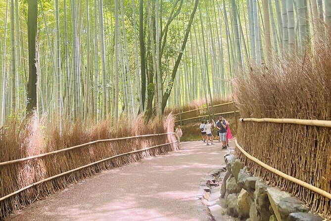 Kyoto & Nara: Private Day Tour by luxury Vehicle & English Guide - Nara Park and deer time: short, sweet, and memorable