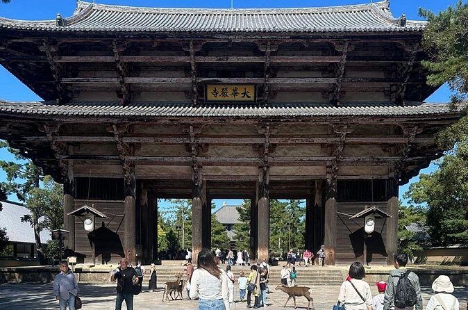 Kyoto & Nara: Private Day Tour by luxury Vehicle & English Guide - Fushimi Inari-taisha: walking the torii gates with purpose