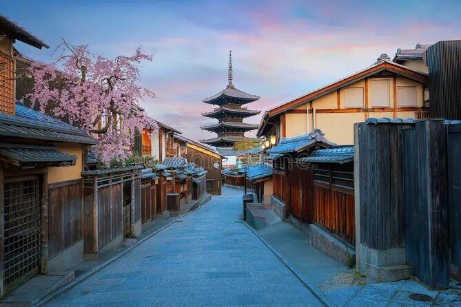 Kyoto & Nara: Private Day Tour by luxury Vehicle & English Guide - The luxury vehicle and the English guide advantage (Ravi-style explained)