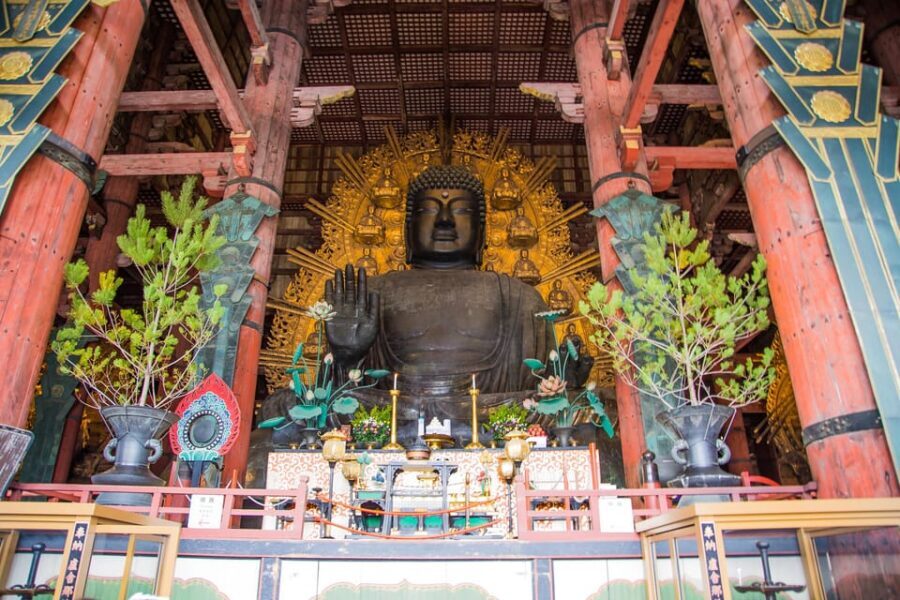 Kyoto: Nara, Todaiji, Kasuga Taisha Shrine Private Full Day - Nara Park and the sika deer: sacred messengers, easy photo moments