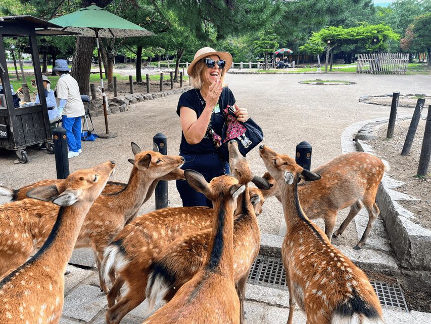 Kyoto: Nara & Traditional Matcha Experience Bus Tour - Kyoto to Nara and Uji: why this day tour works