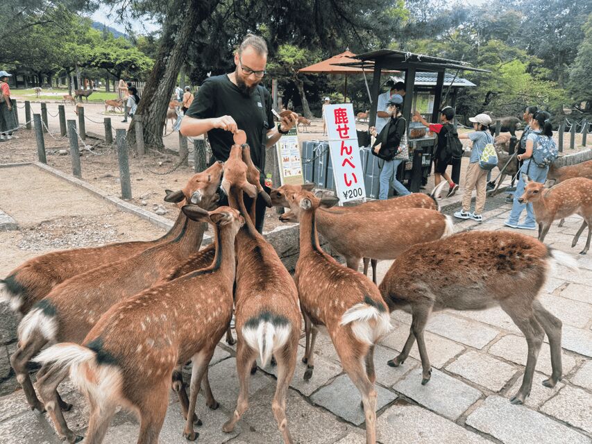 Kyoto: Nara & Traditional Matcha Experience Bus Tour - The comfort and language support: small touches that help