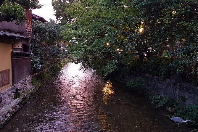 Kyoto Nighttime All-Inclusive Eats and Streets, Gion and Beyond - Price and Value: Why $119 Can Work (If You Plan to Drink and Eat)