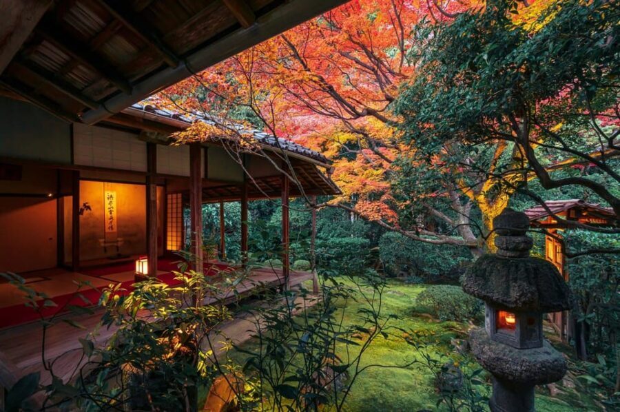 Kyoto: Nighttime Zen Meditation and Matcha Tea Experience - Keishunin Temple at night: why the lights change everything