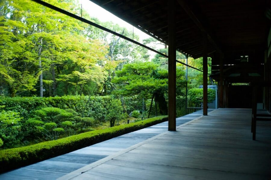 Kyoto: Nighttime Zen Meditation and Matcha Tea Experience - Sehakuan tea room and Kano Sansetsu fusuma: art you can stand next to