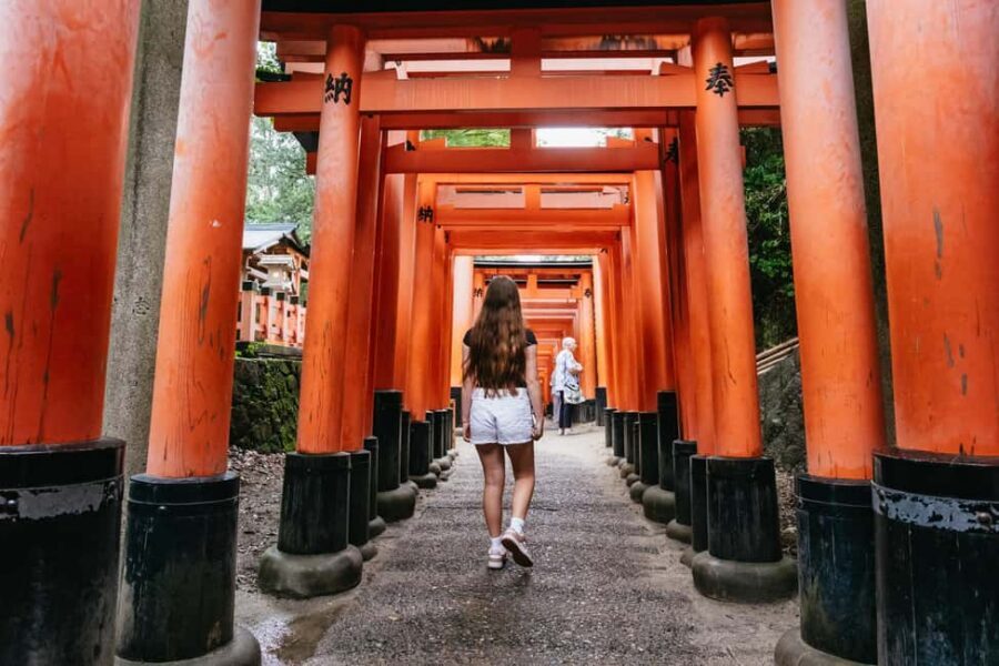 Kyoto: Nijo Castle, Kiyomizu & Fushimi Inari Guided Tour - Nijo Castle and the nightingale floors: shogun-era security you can walk on