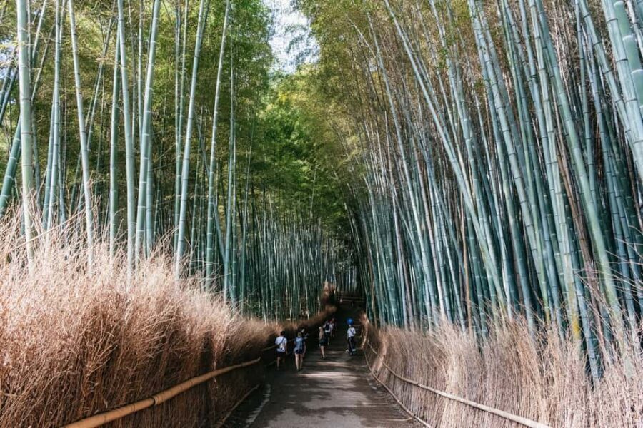 Kyoto: Nijo Castle, Kiyomizu & Fushimi Inari Guided Tour - Price and value: what $54 buys you in Kyoto
